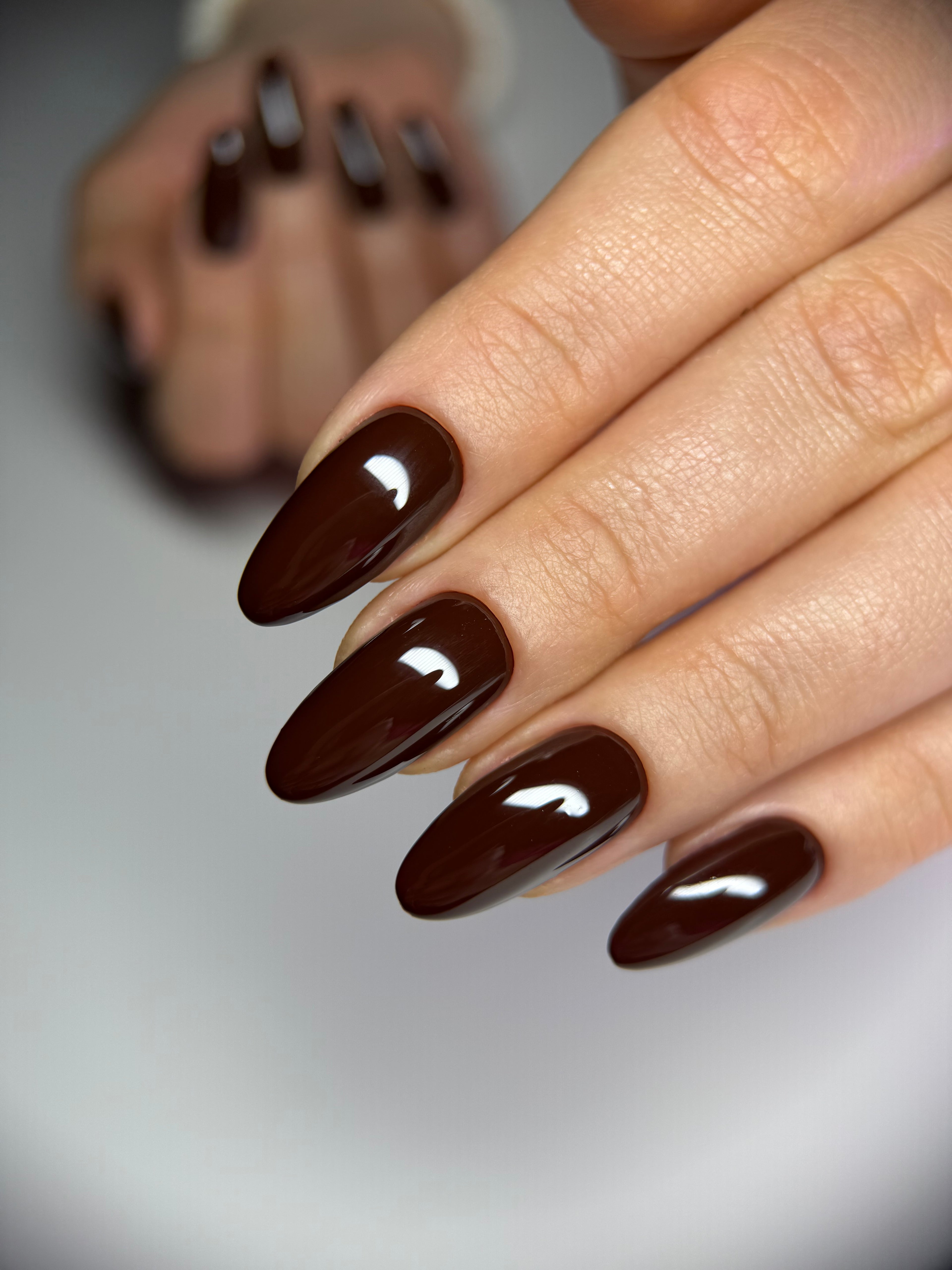 3050 Dark Chocolate