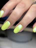 6010 Spring Yellow