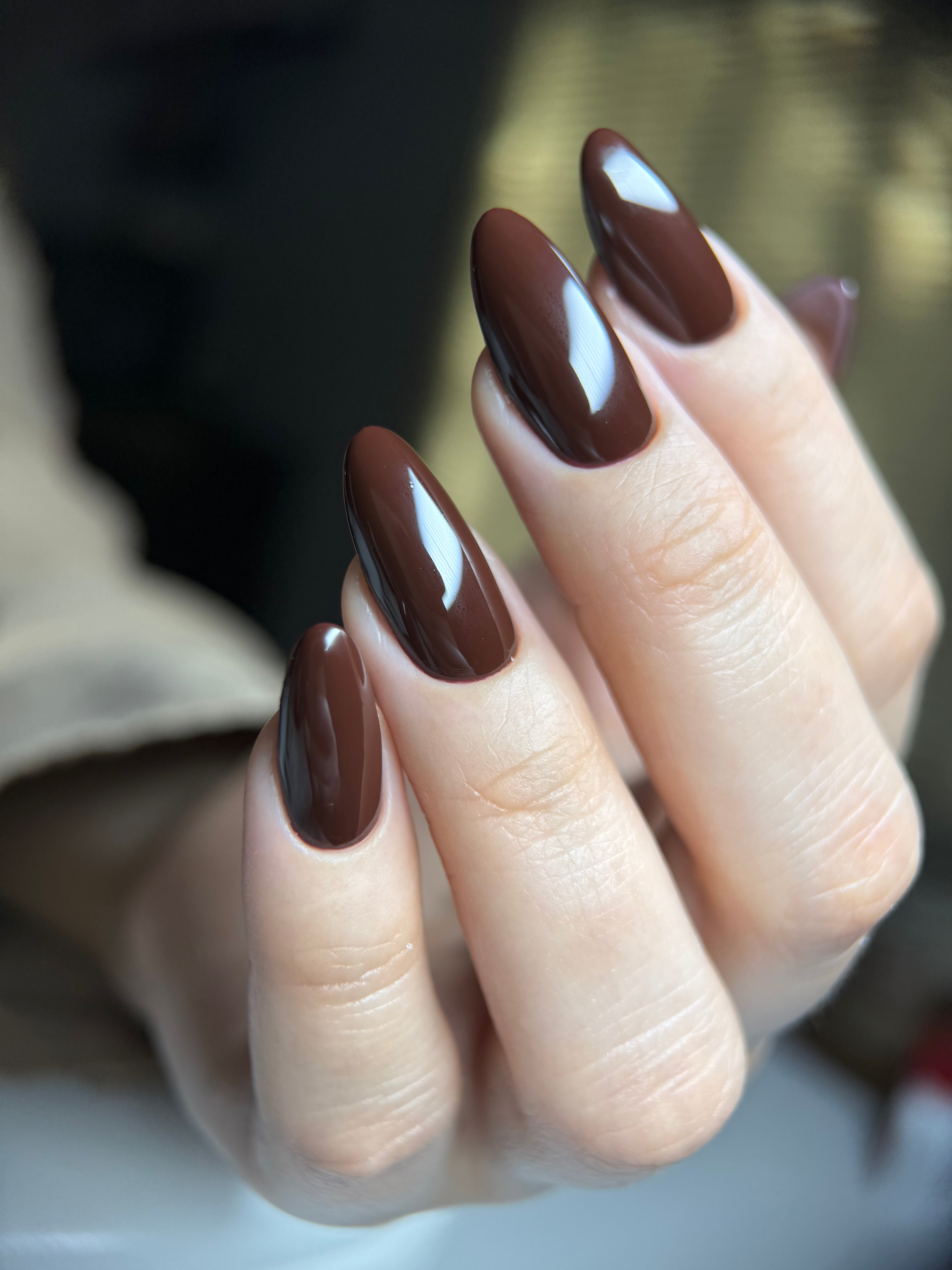 3040 Chocolate
