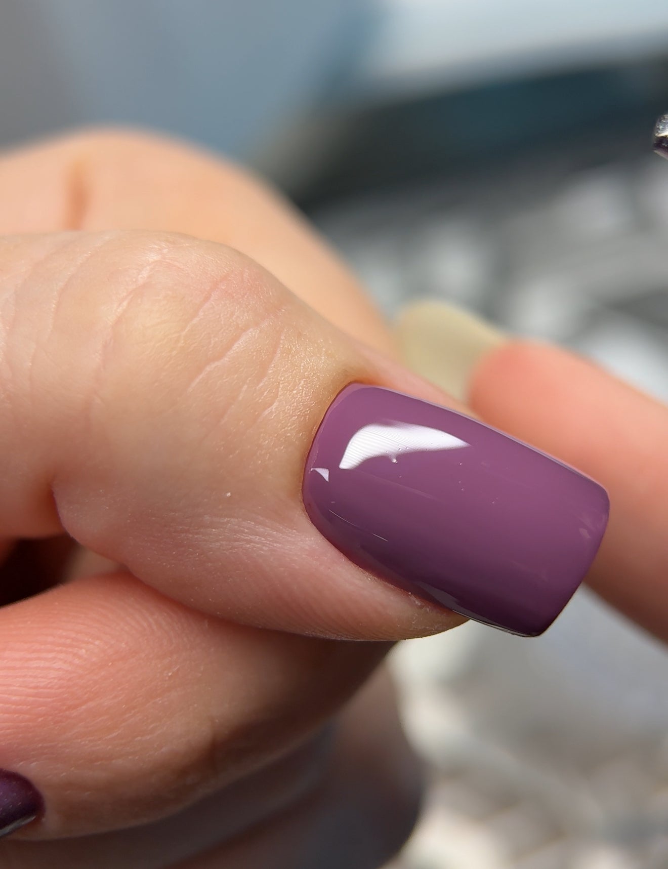 8085 Mauve